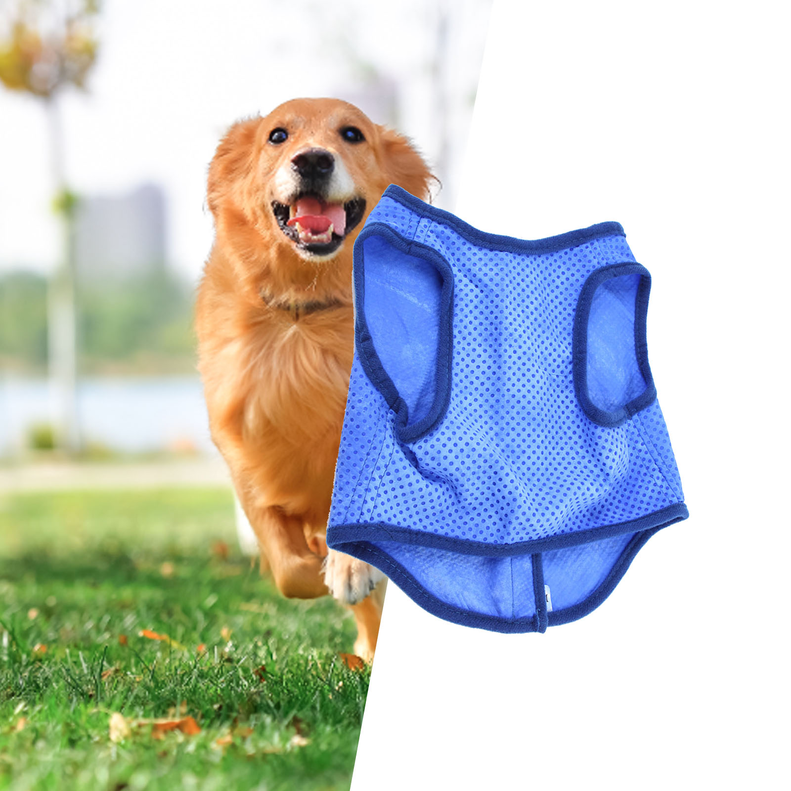 Hunde-Kühlweste, atmungsaktiv, – Outdoor Sport Coat Bewertung und Preis