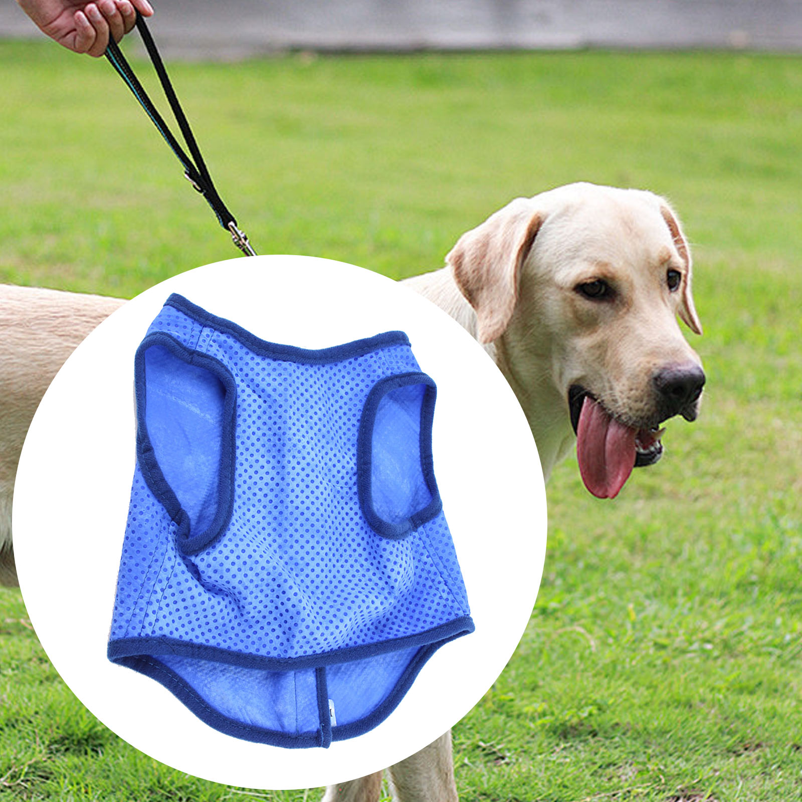 Hunde-Kühlweste, atmungsaktiv, – Outdoor Sport Coat Bewertung und Preis